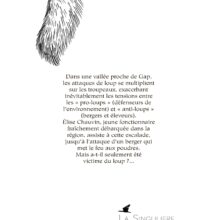 4e de couv Politique du loup La Politique du Loup, roman sans parti pris de Diane Lespinard : attaques de brebis, enquête ancrée dans le réel